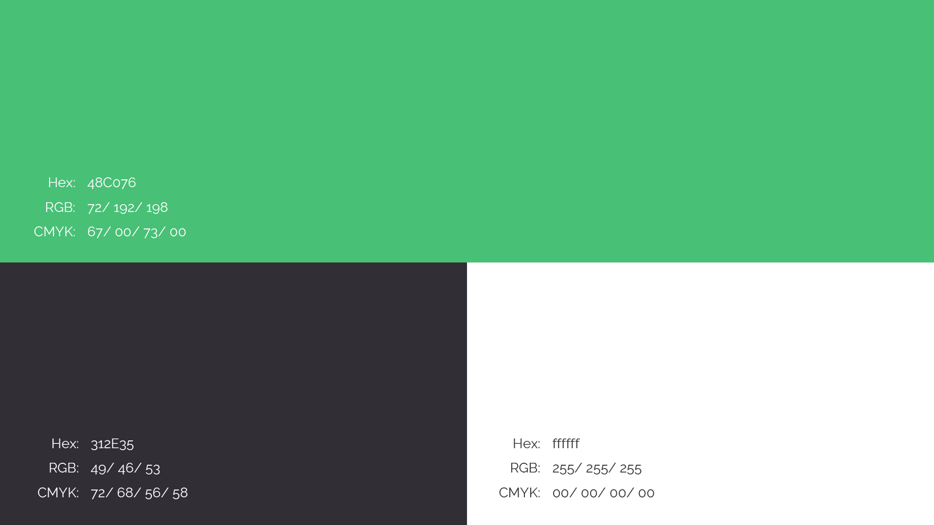 Polo Defense brand identity 3
